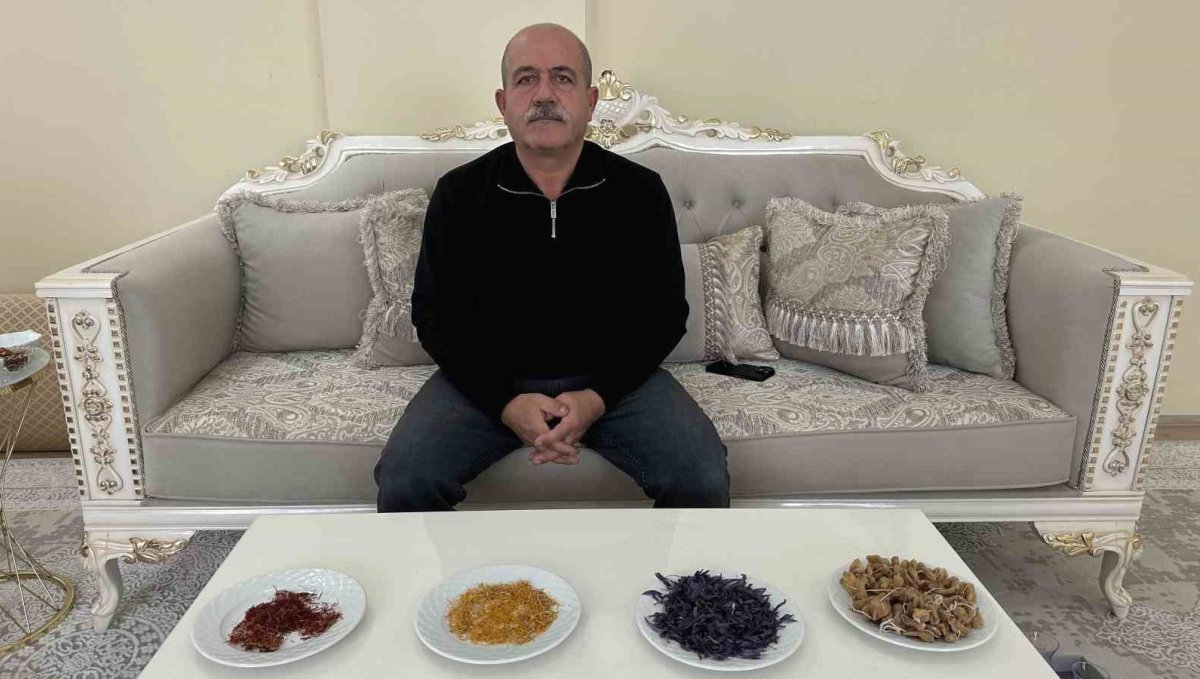 "Yapamazsın" diyenlere inat yetiştirdiği safran ve salebi evinde tüketiyor