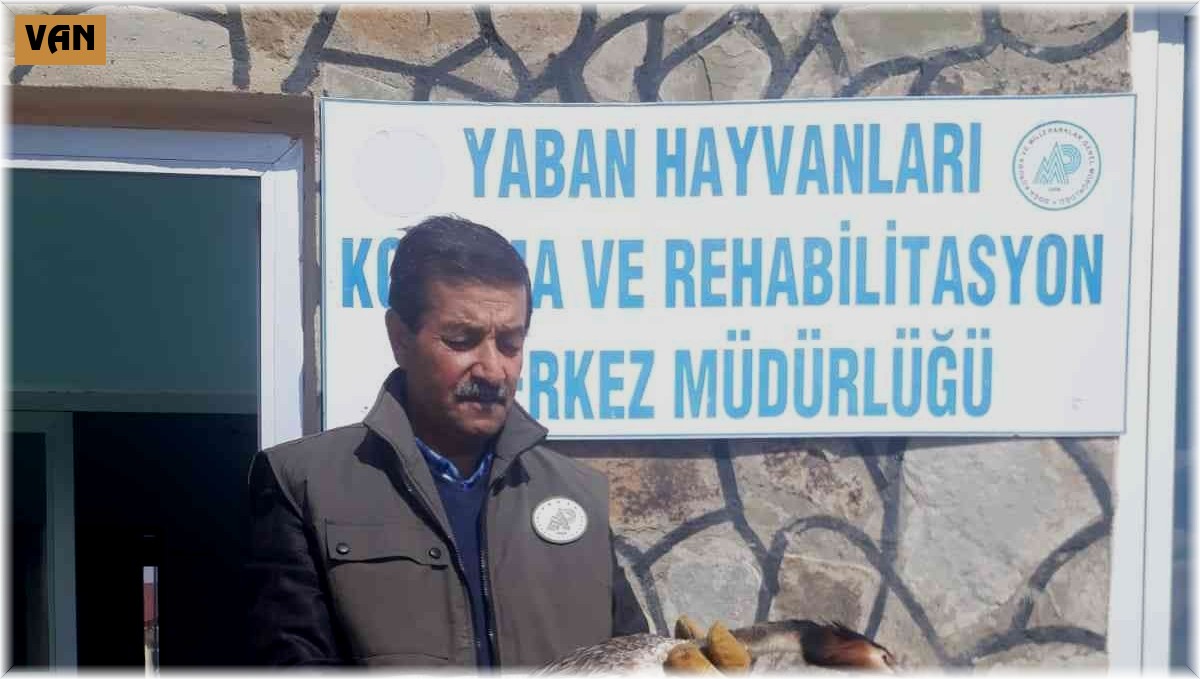 Yaralı bahri kuşu tedavi altına alındı