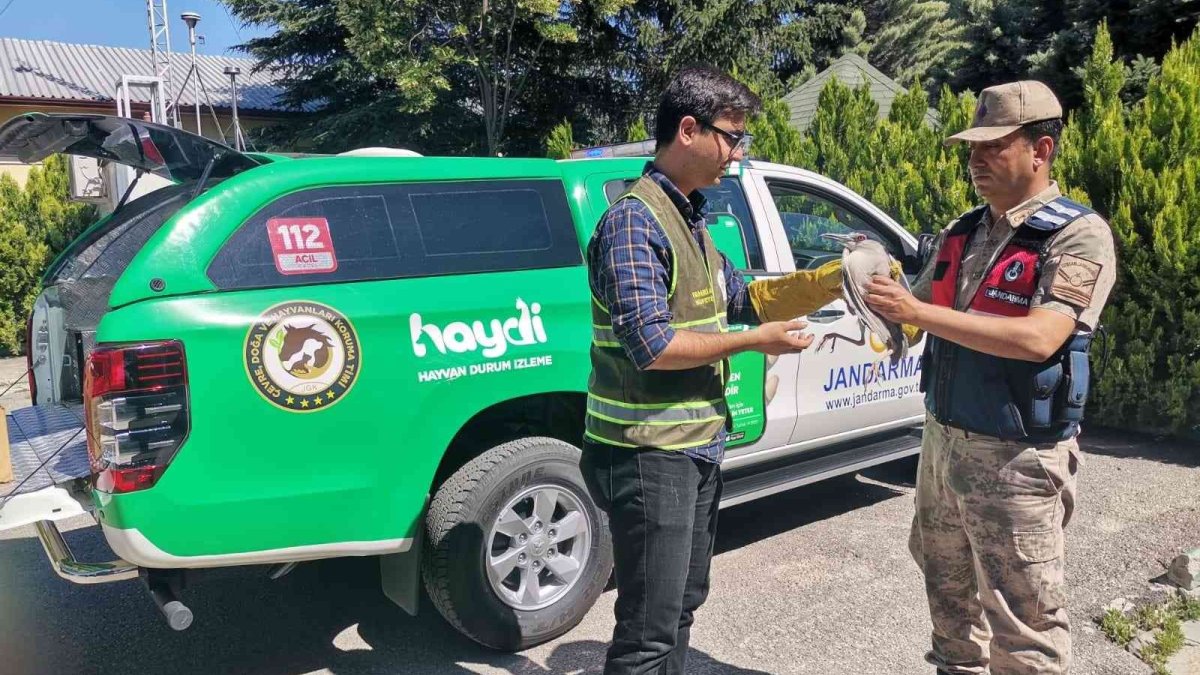 Yaralı halde bulunan gece balıkçılı DKMP'ye teslim edildi