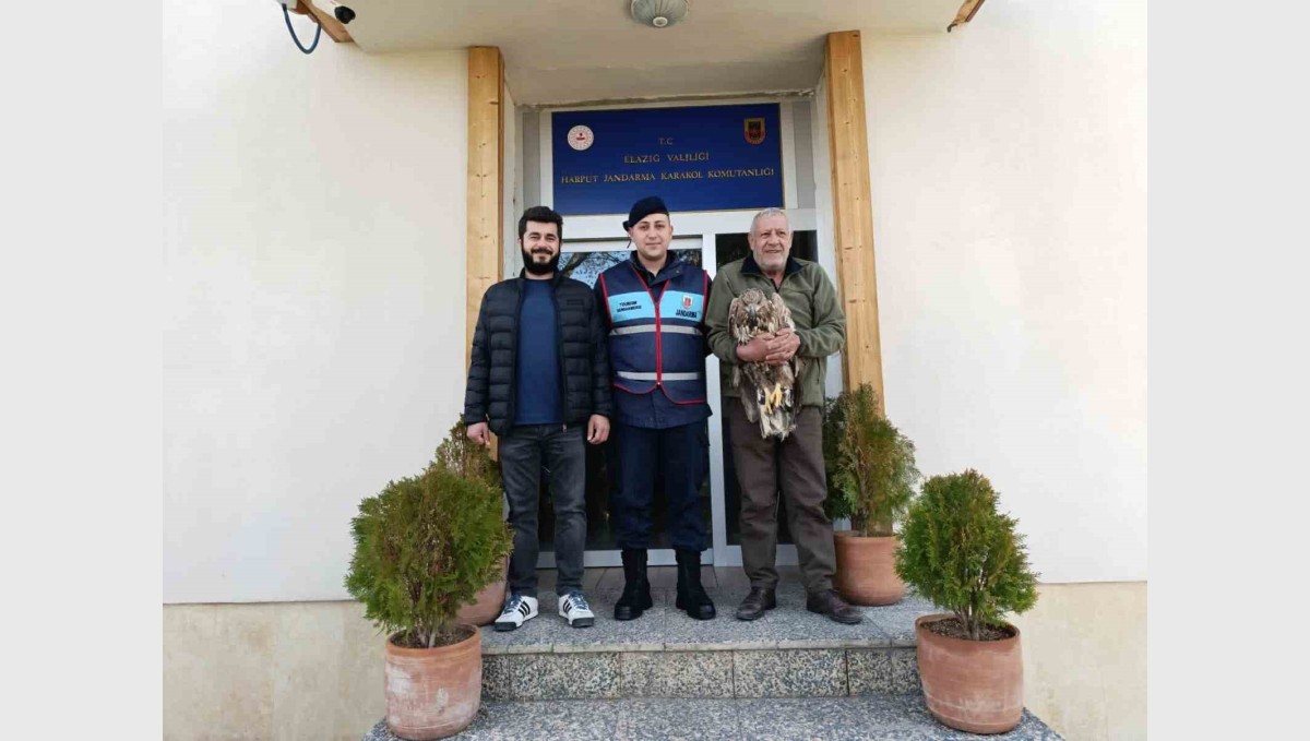 Yaralı kaya kartalına jandarma şefkati