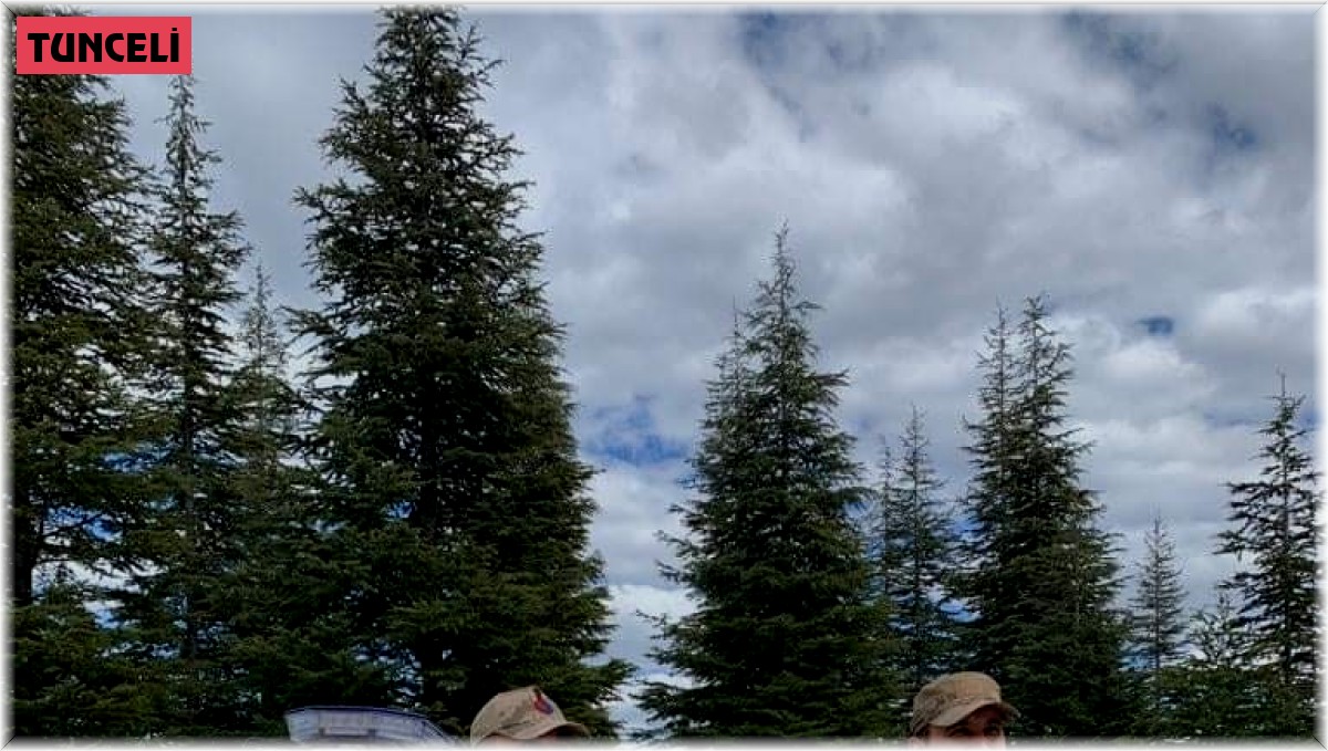 Yaralı kızıl şahin tedavi altına alındı