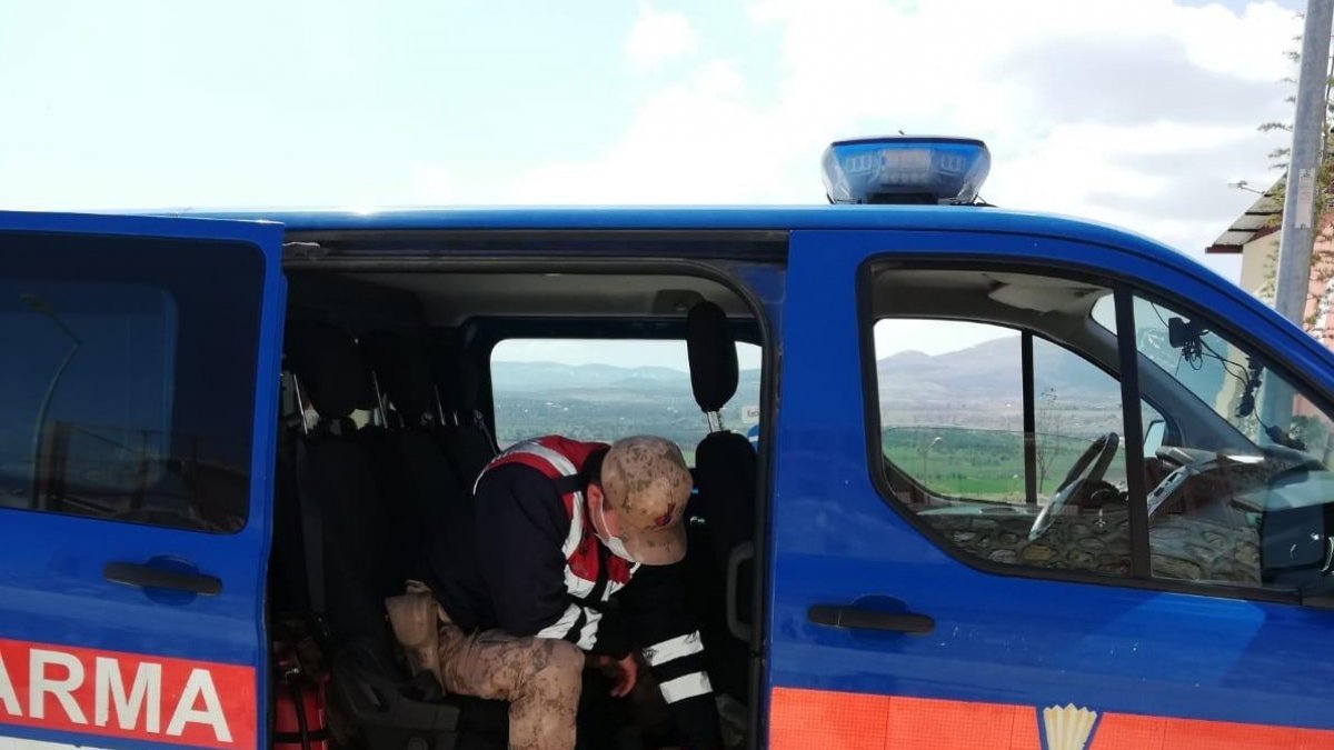 Yaralı köpeği fark eden jandarma, ekip aracıyla hastaneye götürdü