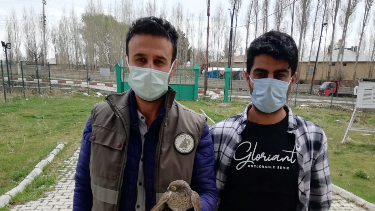 Yaralı kuşlar tedavi altına alındı