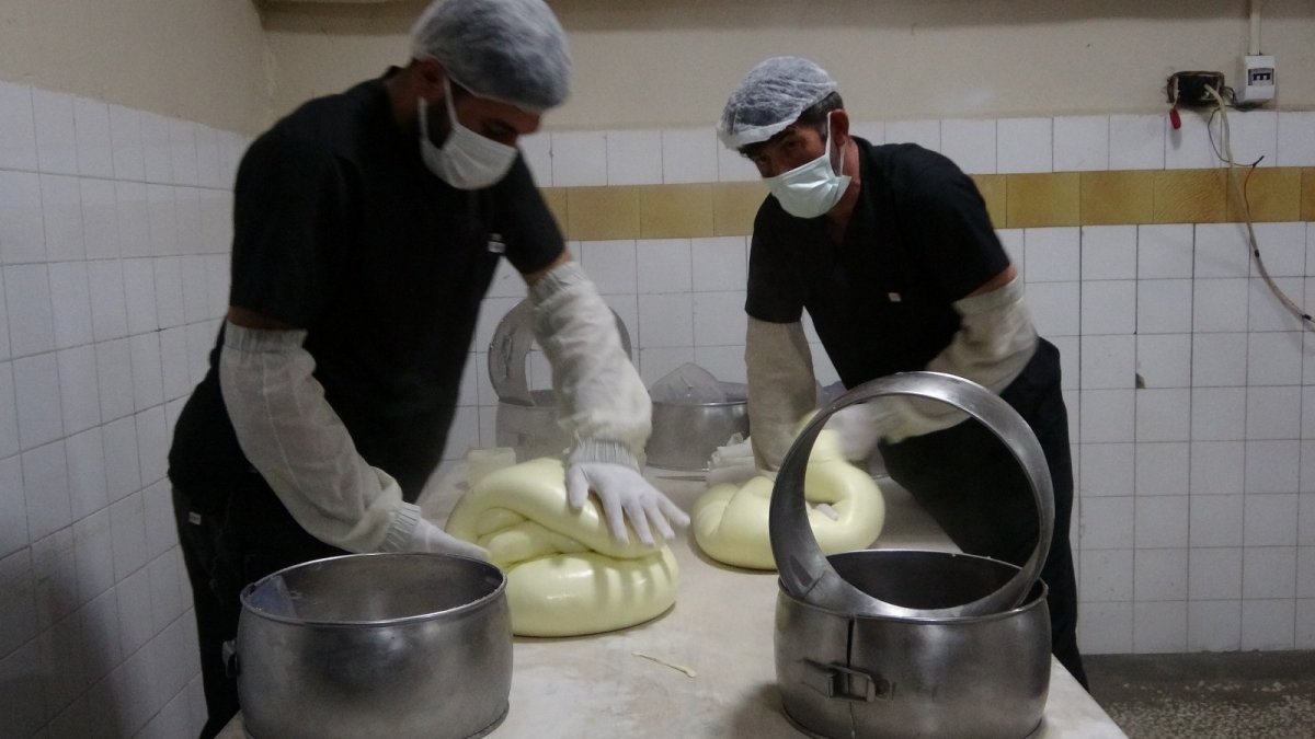 Yarım asırlık işletme, sofraları süsleyen kaşar peyniri üretiyor