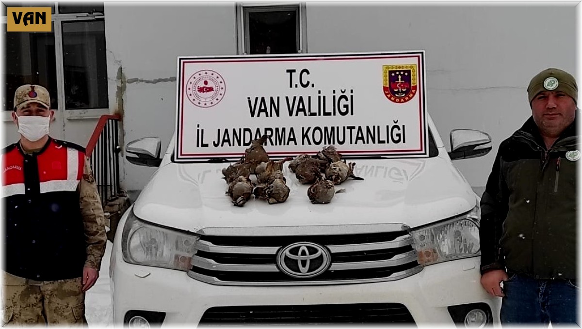 Yasadışı avlanan şahıs jandarmaya takıldı