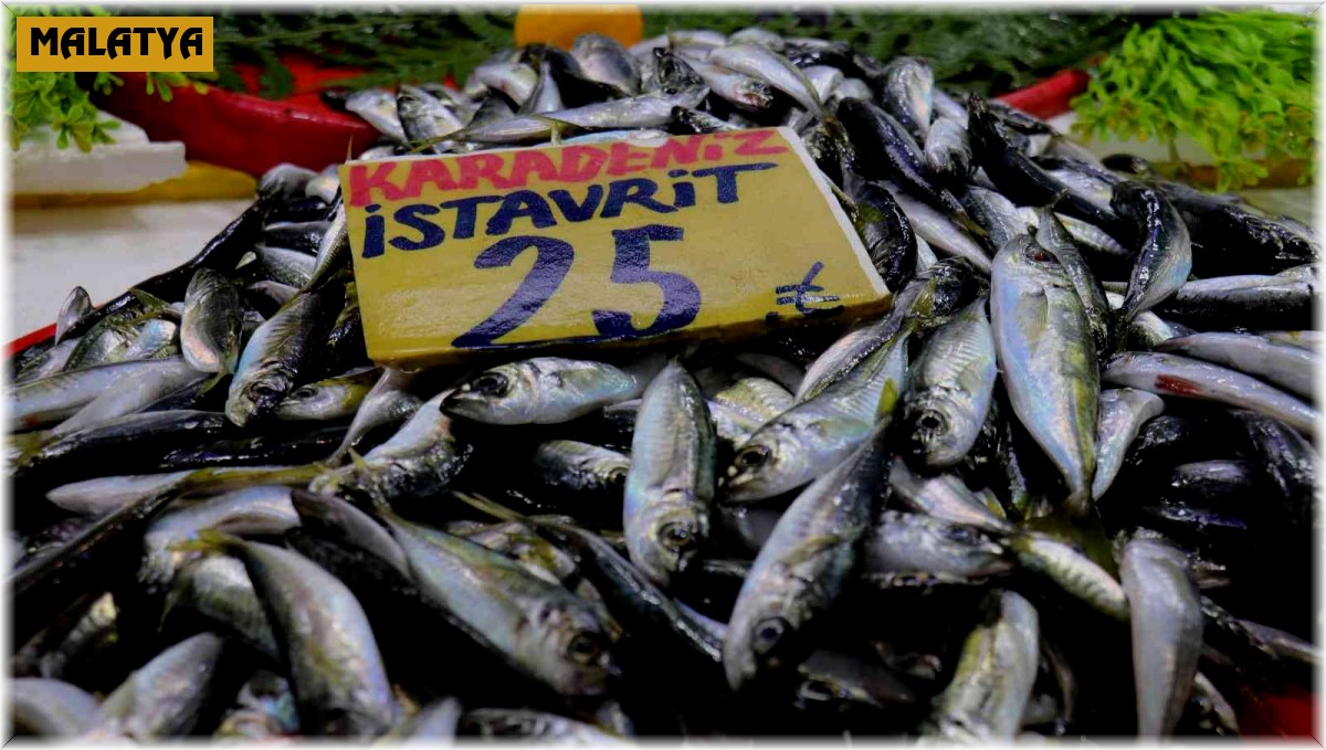 Yaşanan bolluk balık fiyatlarını düşürdü