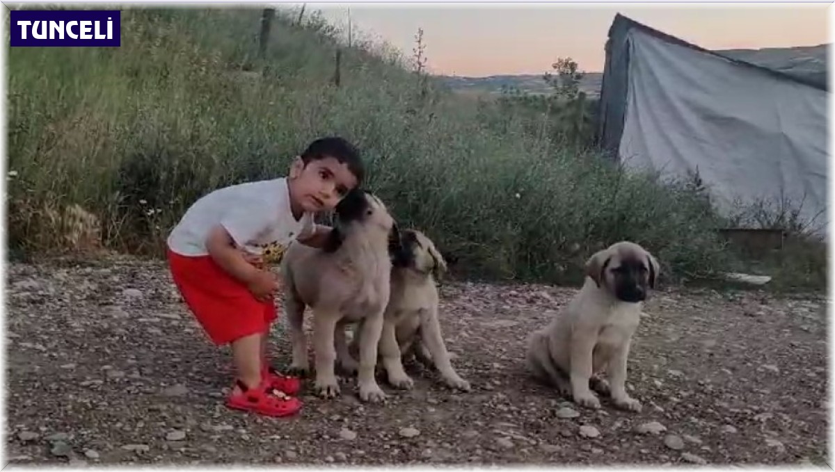 Yaşı küçük hayvan sevgisi büyük