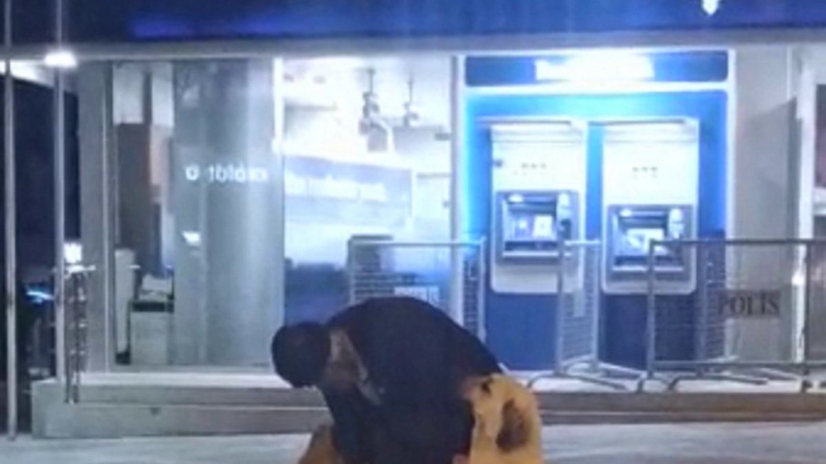 Yaşlı adamın sokak köpeklerine şefkati yürekleri ısıttı