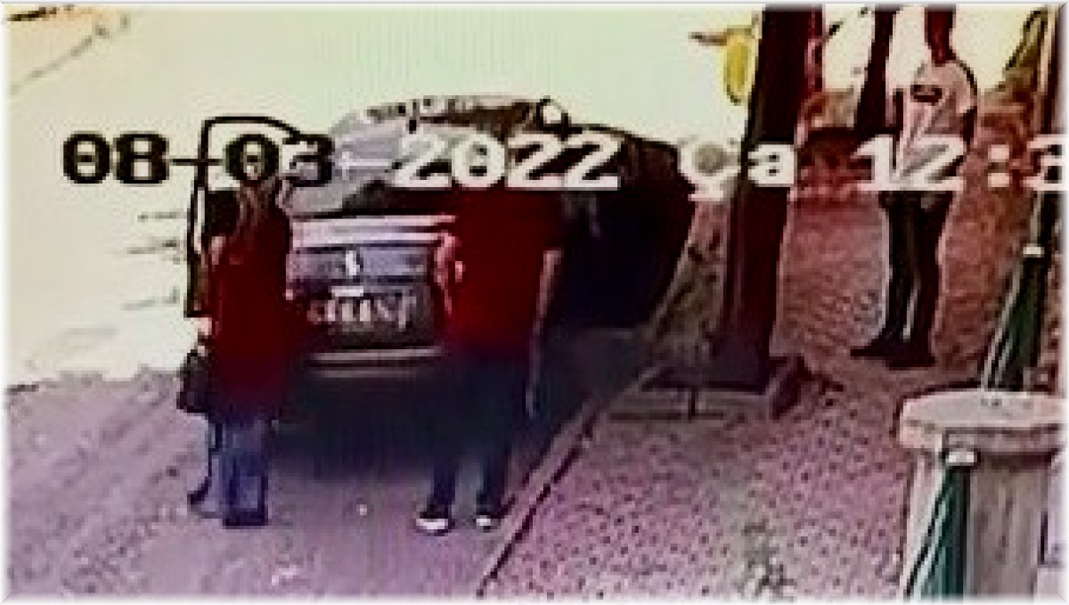 Yavru kediyi sokağa attı, 2 bin 724 lira ceza yedi