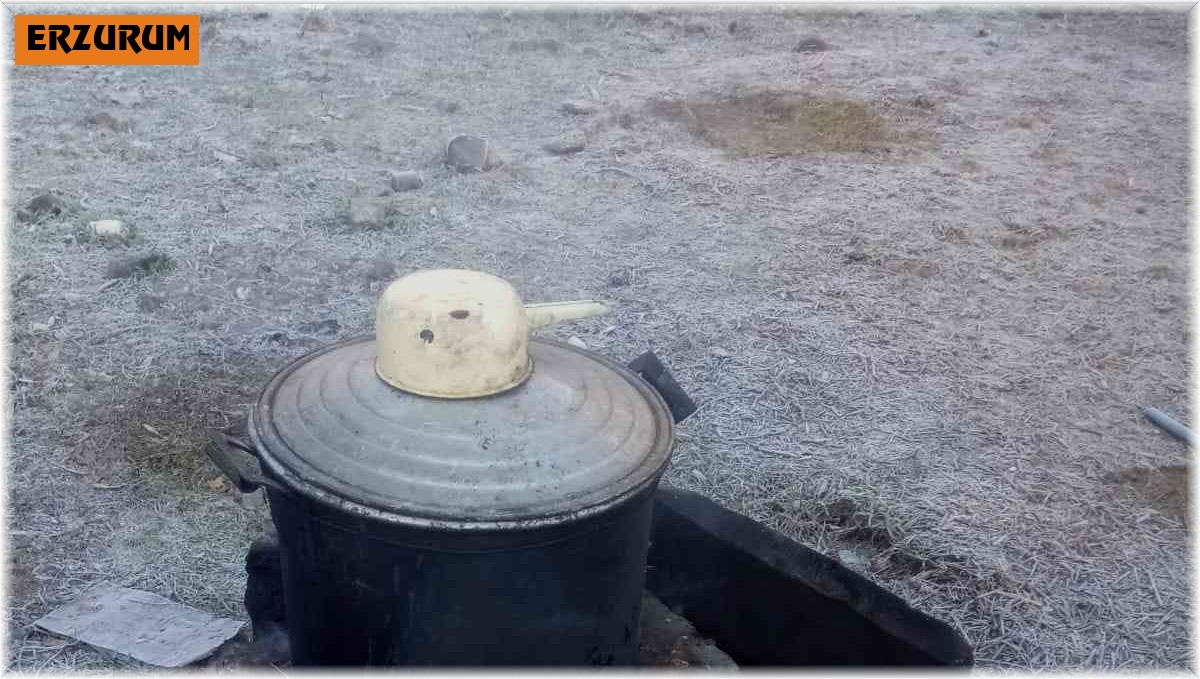 Yavru köpekler ocak ateşinde ısındılar