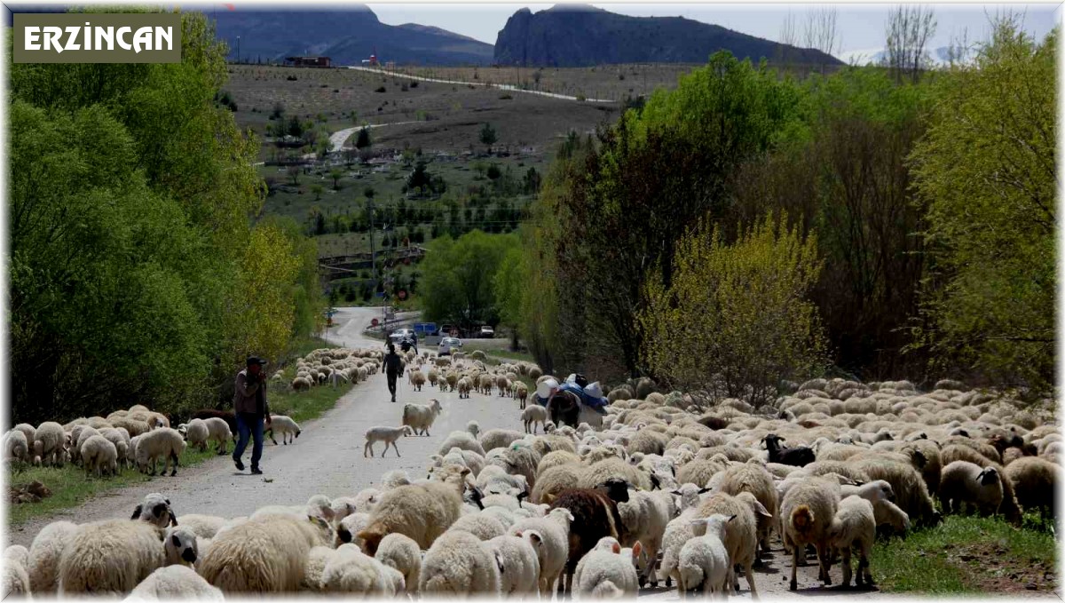 Yayla mesaisini tamamlayan Doğu Anadolu'daki göçerler dönüş yolunda