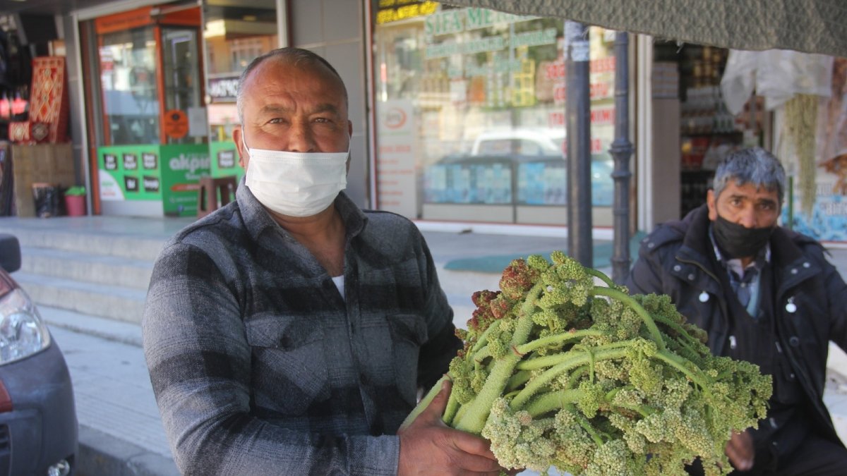 "Yayla Muzu" tezghlardaki yerini aldı