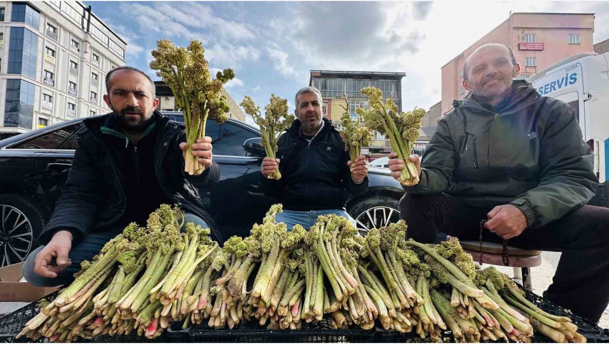 Yayla muzunun destesi 100 TL'den satışa çıkarıldı