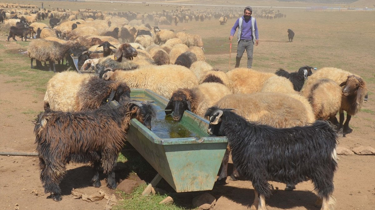 Yayla sezonunu tamamlayan göçerlerin dönüş yolculuğu sürüyor