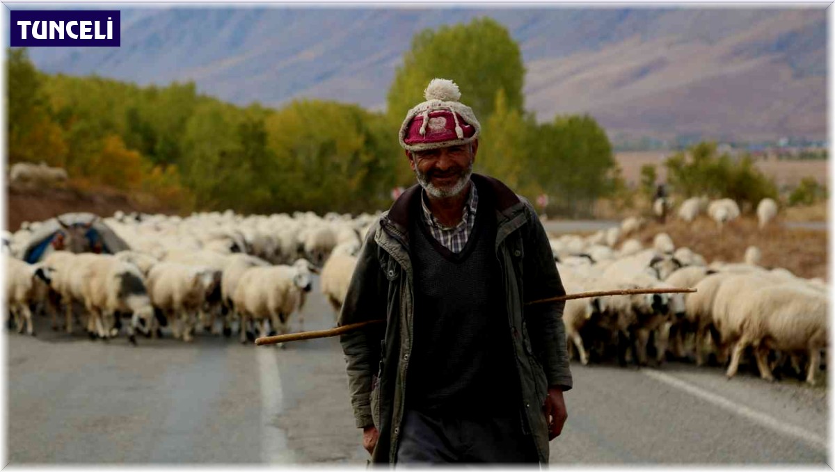 Yaylacıların günler süren zorlu yolculuğu