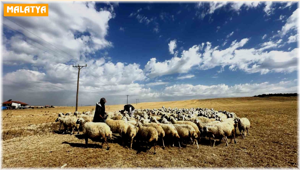 Yaylacıların zorlu dönüş yolculuğu başladı