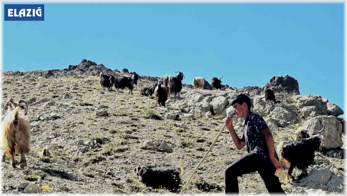 Yaylada çobanlık yapan Muhammet, LGS'de Türkiye ikincisi oldu