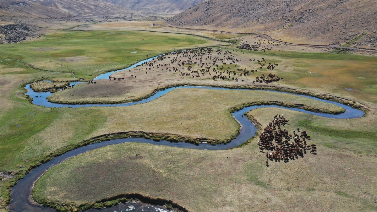 Yaylada sürüleri için 6 ay geçiren çobanlar dönüş hazırlığına başladı