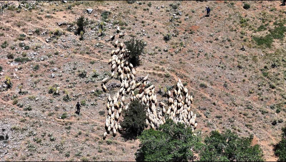Yaylada zorlu şartlara rağmen üretmeye devam ediyorlar
