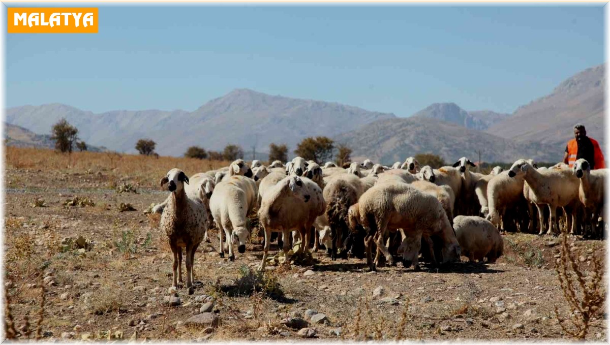 Yayladan dönüşler devam ediyor
