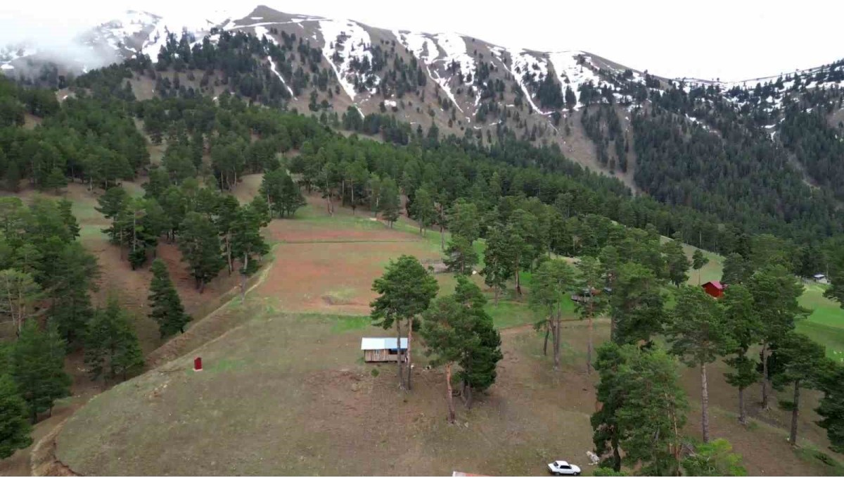 Yaylalara erken kar sürprizi