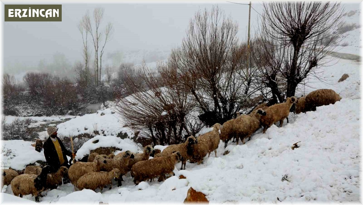 Yaylalardan indirilmeye başlanan koyun sürüsü kar, tipiye yakalandı