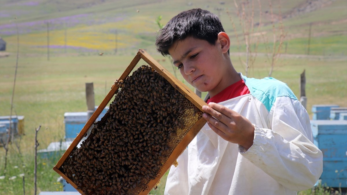 Yaylaları çiçeklerle kaplanan Ağrı'da bal sezonu bereketli geçecek