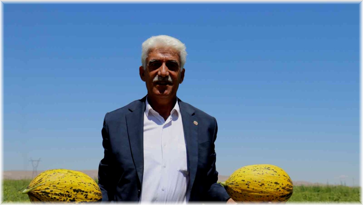 Yazıhan ovasında bereket artıyor