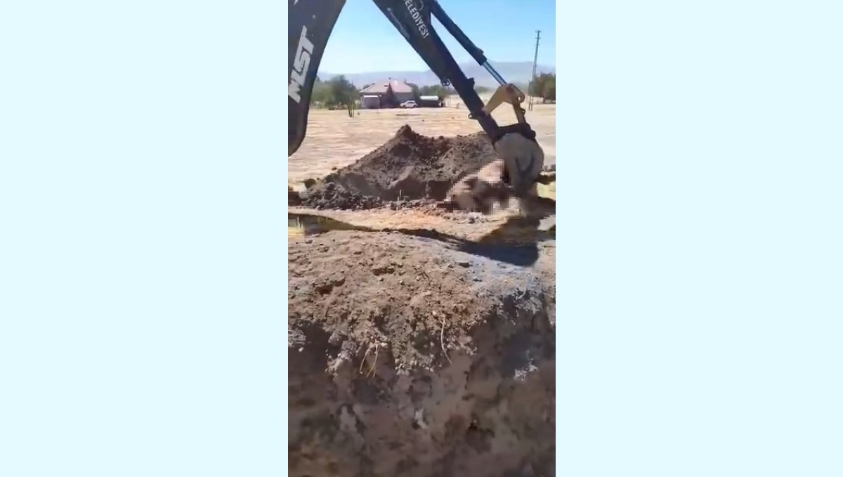 Yazıkonak'ta ölü hayvanın yerleşim alanına gömülmesine vatandaştan tepki