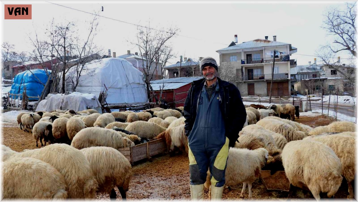 Yazın yaylalarda hayvanlarını otlatan besiciler, kışın hayvanlarını ahırlarda bakıp kar üzerinde besliyor