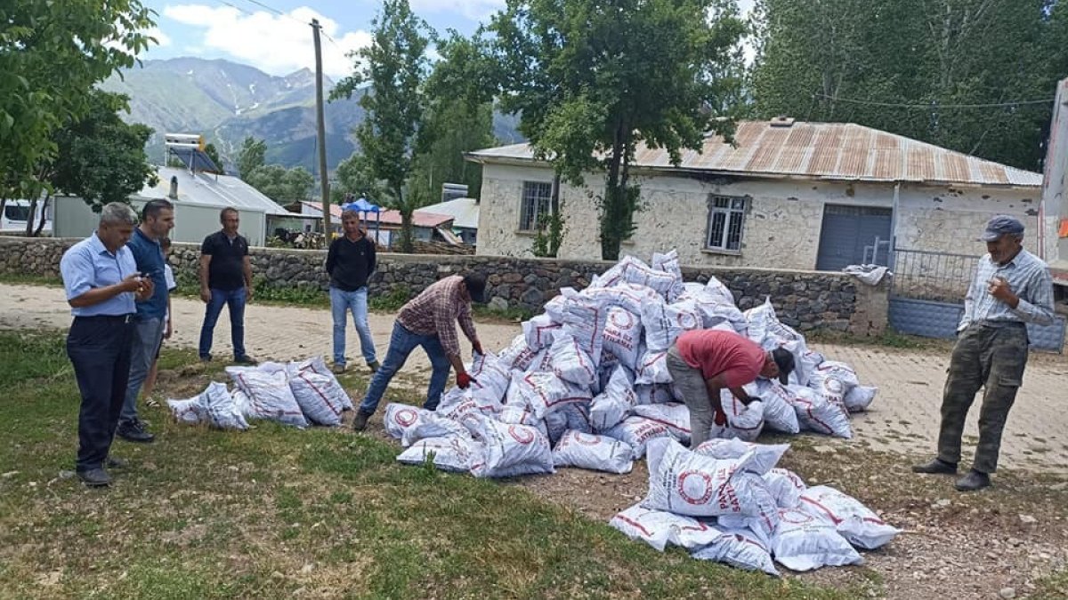 Yedisu'da ihtiyaç sahiplerine kömür dağıtımı başladı