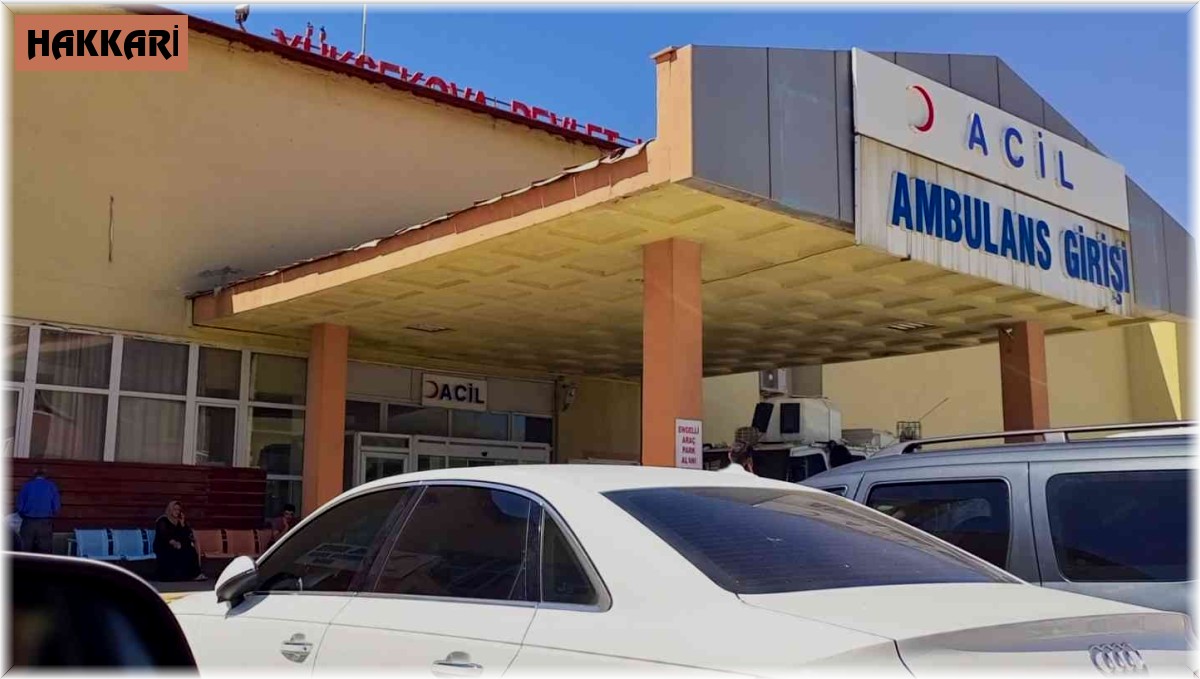 Yeğenini öldürdü, kardeşini ağır yaraladı