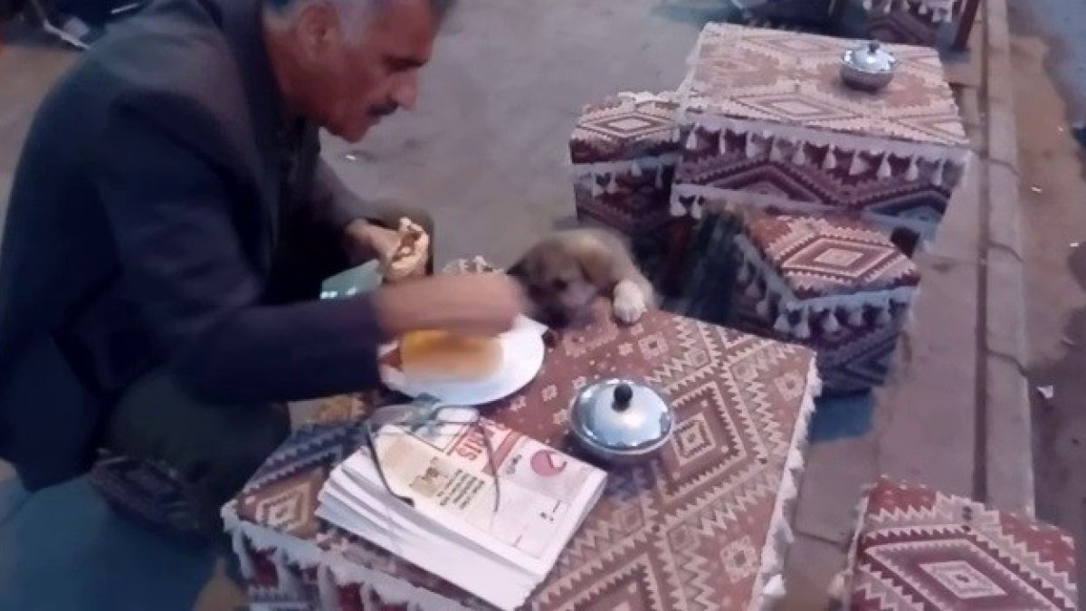 Yemeğini sokak köpeği ile paylaşan vatandaşlar yürekleri ısıttı