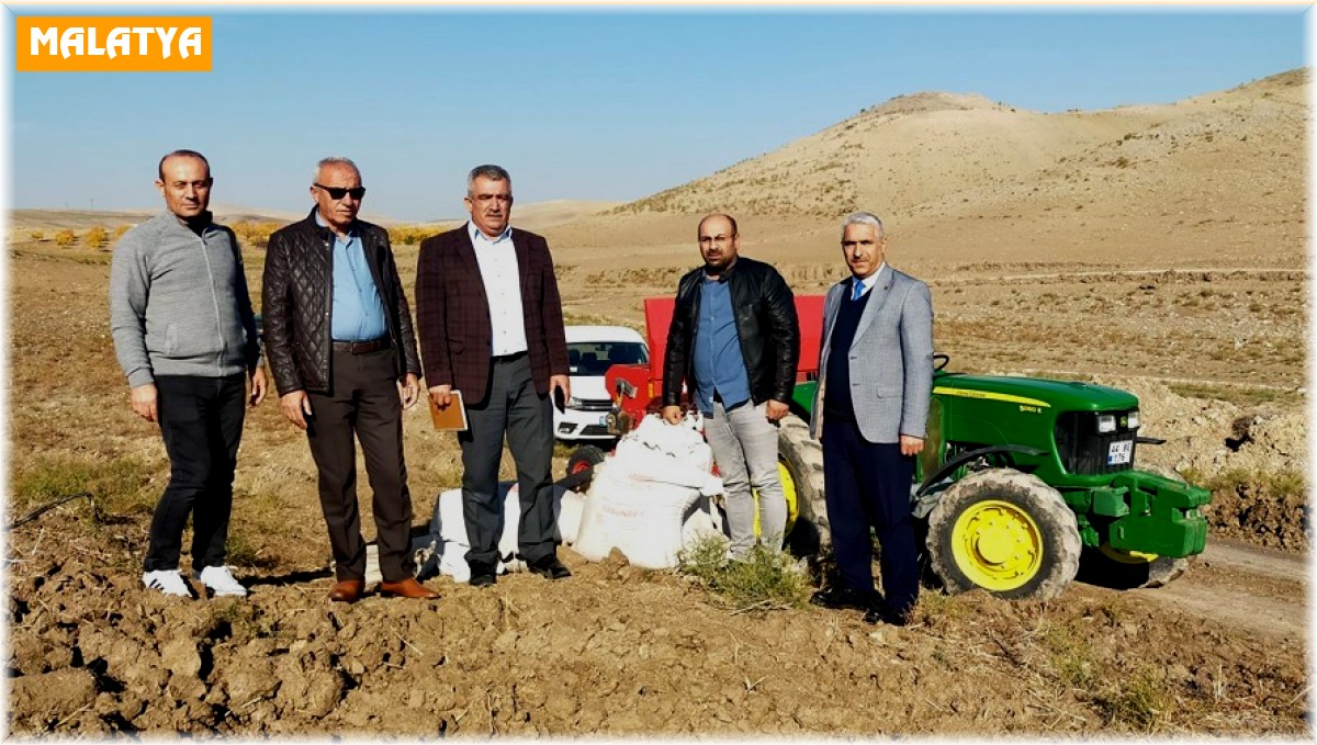 Yerli, ekmeklik ve makarnalık buğdaylarına deneme ekimi yapıldı