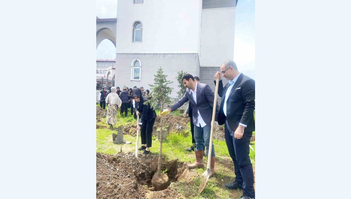 Yeşeren Umutlar, Filizlenen Gelecek