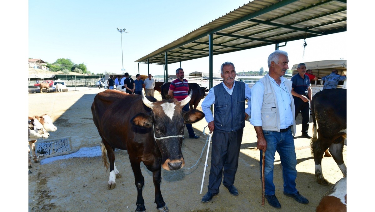 Yeşilyurt Belediyesi 41 noktada kurban satış ve kesim yeri belirledi