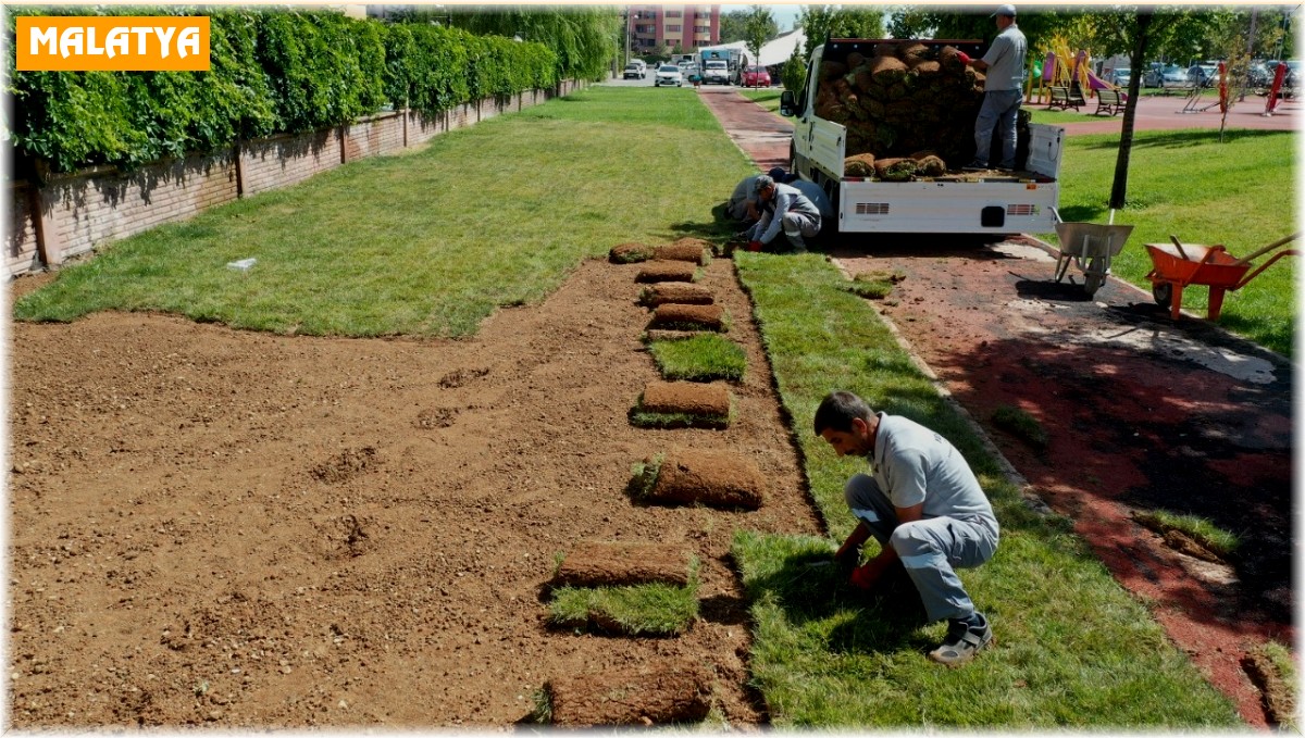 Yeşilyurt Belediyesi, rulo çim üretiminde hedefleri aştı