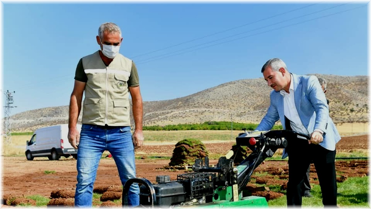 Yeşilyurt Belediyesi rulo çim üretiminde hedeflerinin üzerine çıktı