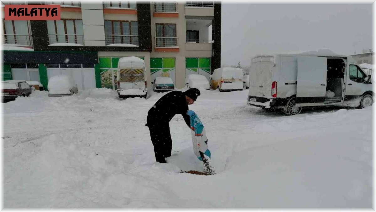 Yeşilyurt'ta sokak hayvanları unutulmadı