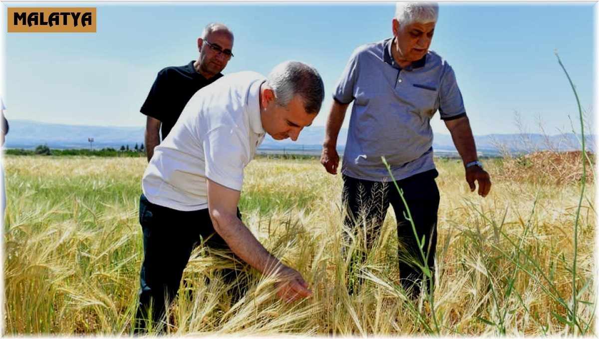 Yeşilyurt'ta tarımsal üretim hız kazandı