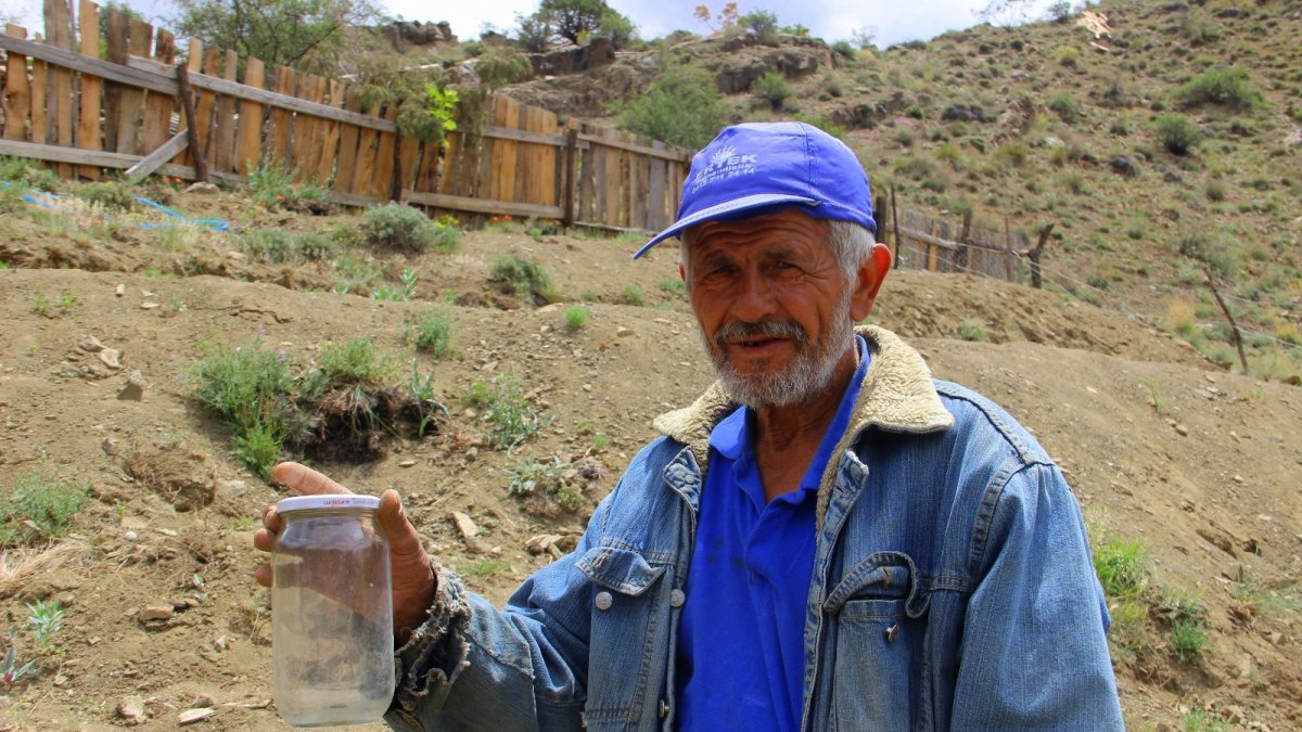 Yetişmez denilen bitkiyi konserve kavanozunda yetiştirip ardından toprakla buluşturdu