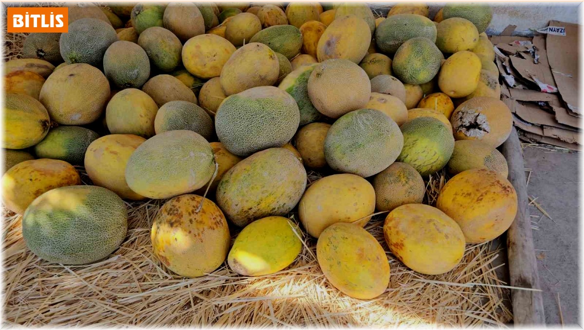 Yetiştirdiği ürünleri satarak aile bütçesine katkıda bulunuyor