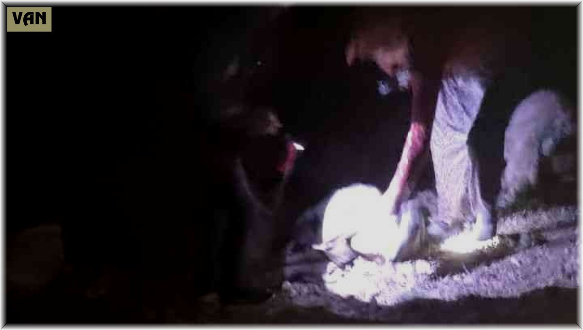 Yıldırım düştü çoban yaralandı, 63 koyun telef oldu