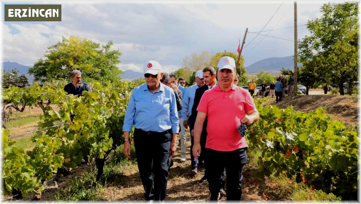 Yıldırım yeni üzüm çeşitleri hakkında bilgi aldı