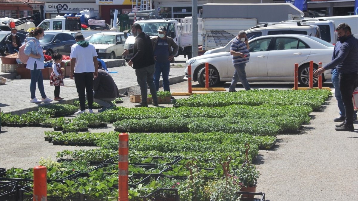 Yılın ilk fideleri seralardan çıktı, satışa sunuldu