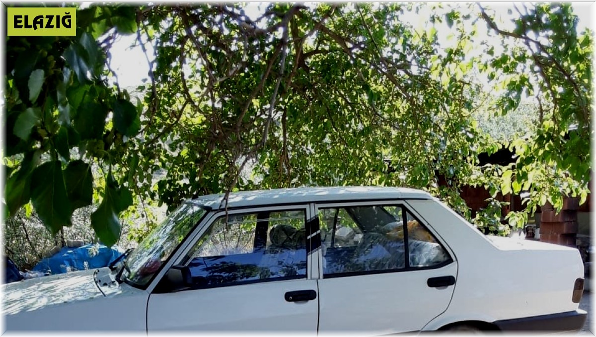 Yıllardır gözü gibi baktığı otomobili çalındı, bulana 10 bin lira ödül