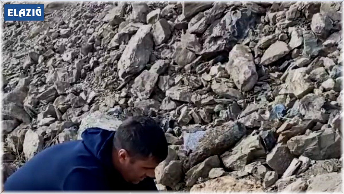 Yiyecek ararken kafasını tenekeye sıkıştıran köpeği itfaiye ekipleri kurtardı