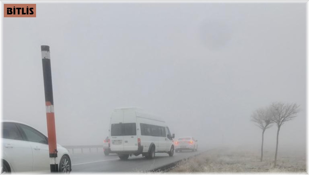 Yoğun sis ve buzlanma kazalara neden oldu