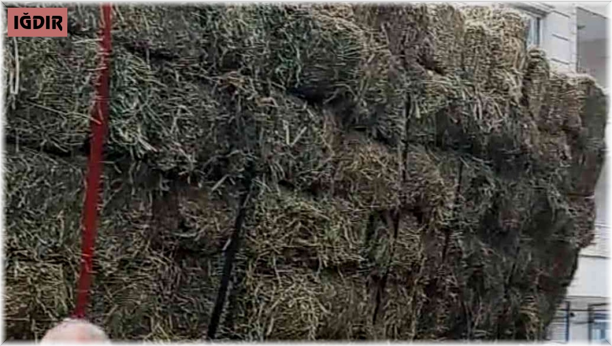 Yol çöktü, ot yüklü kamyon çukura saplandı