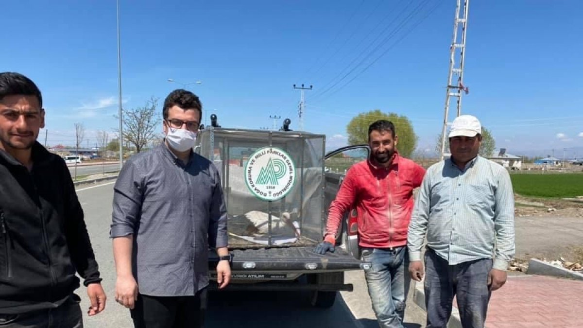 Yol kenarında bulunan leylek tedavi altına alındı